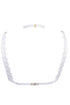 PrimaDonna Arthill Special Accessory